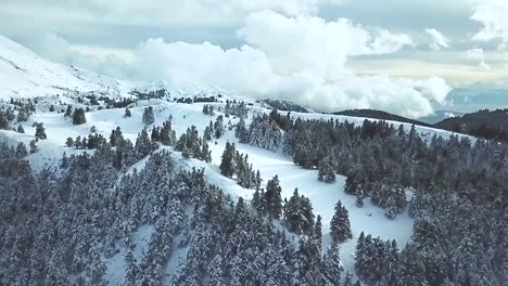 Drohne-Schoss-An-Einem-Winternachmittag-In-Griechenland-über-Einen-Wald-Voller-Schnee