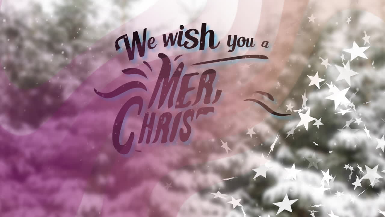 We wish you Merry Christmas text animation over festive background with stars