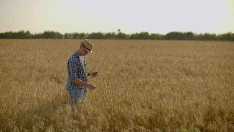 A-young-farmer-with-a-tablet-in-a-hat-in-a-field-of-rye-touches-the-grain-and-looks-at-the-sprouts-and-presses-his-fingers-on-the-computer-screen