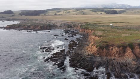 low close-up aerial shot of the northern elephant seal rookery in san simeon, california