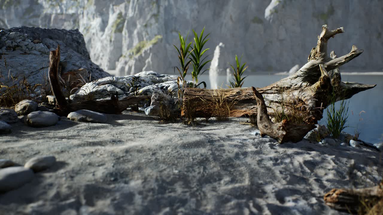 바다 의 바위 절벽 근처 에 있는  ⁇  모래 해변