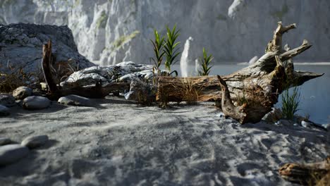 white sand beach near rocky cliffs at ocean