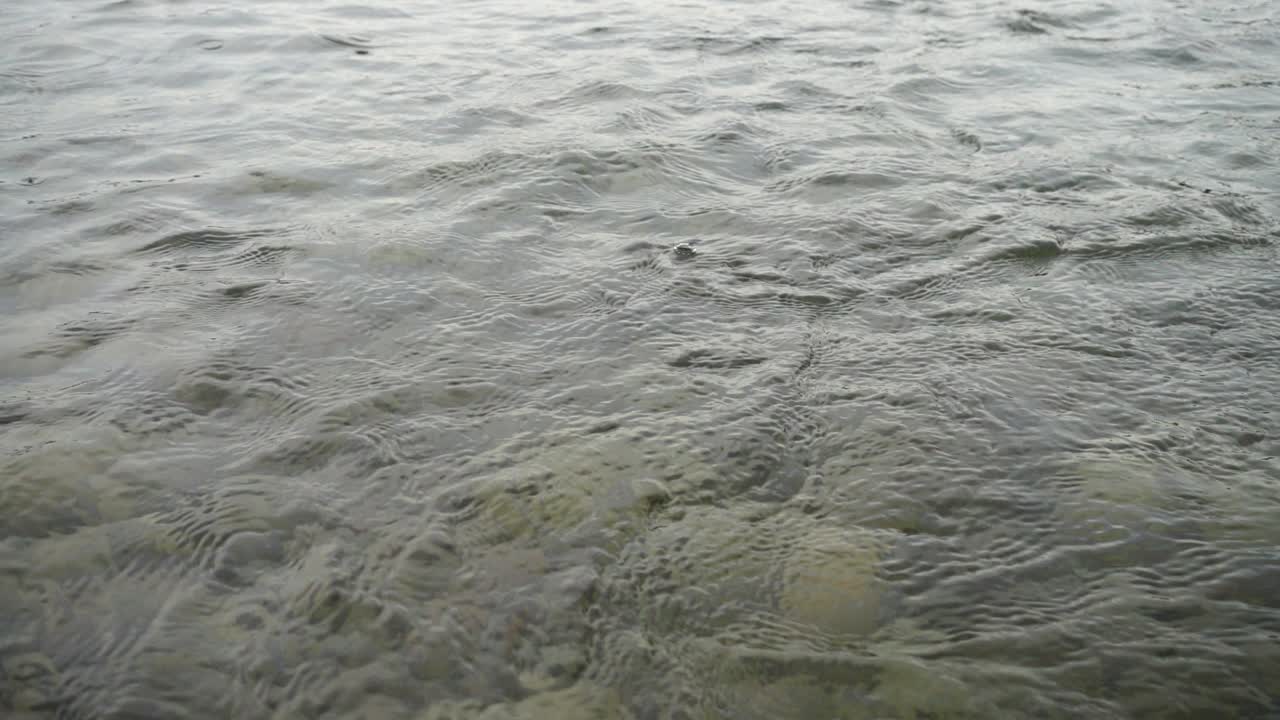 Caduta di una pietra nel fiume. Pioggia sul fiume di montagna. Slow motion