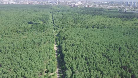 aerial view of a forest with a road running through it