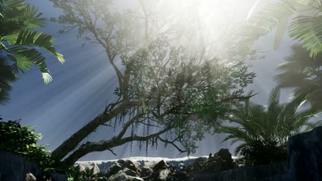 Sunset-Beams-through-Palm-Trees