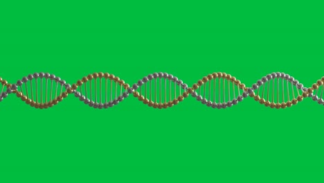 la hélice del adn