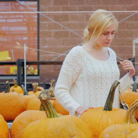 festive shopping - a young woman chooses a pumpkin for halloween 3