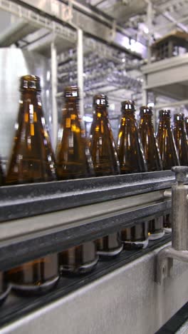 beer bottling line in a brewery