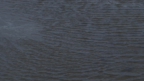 Ondas-Dinámicas-De-Agua-Creadas-Por-El-Fuerte-Viento-En-Un-Día-Gris-Nublado,-Capturando-El-Movimiento-De-La-Naturaleza.