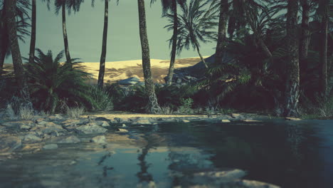 colorful scene with a palm tree over a small pond in a desert oasis