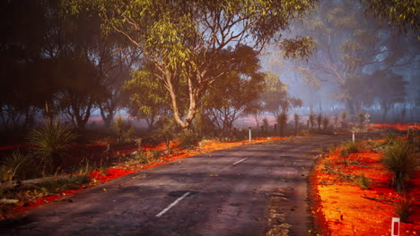 a road through a foggy forest in the outback