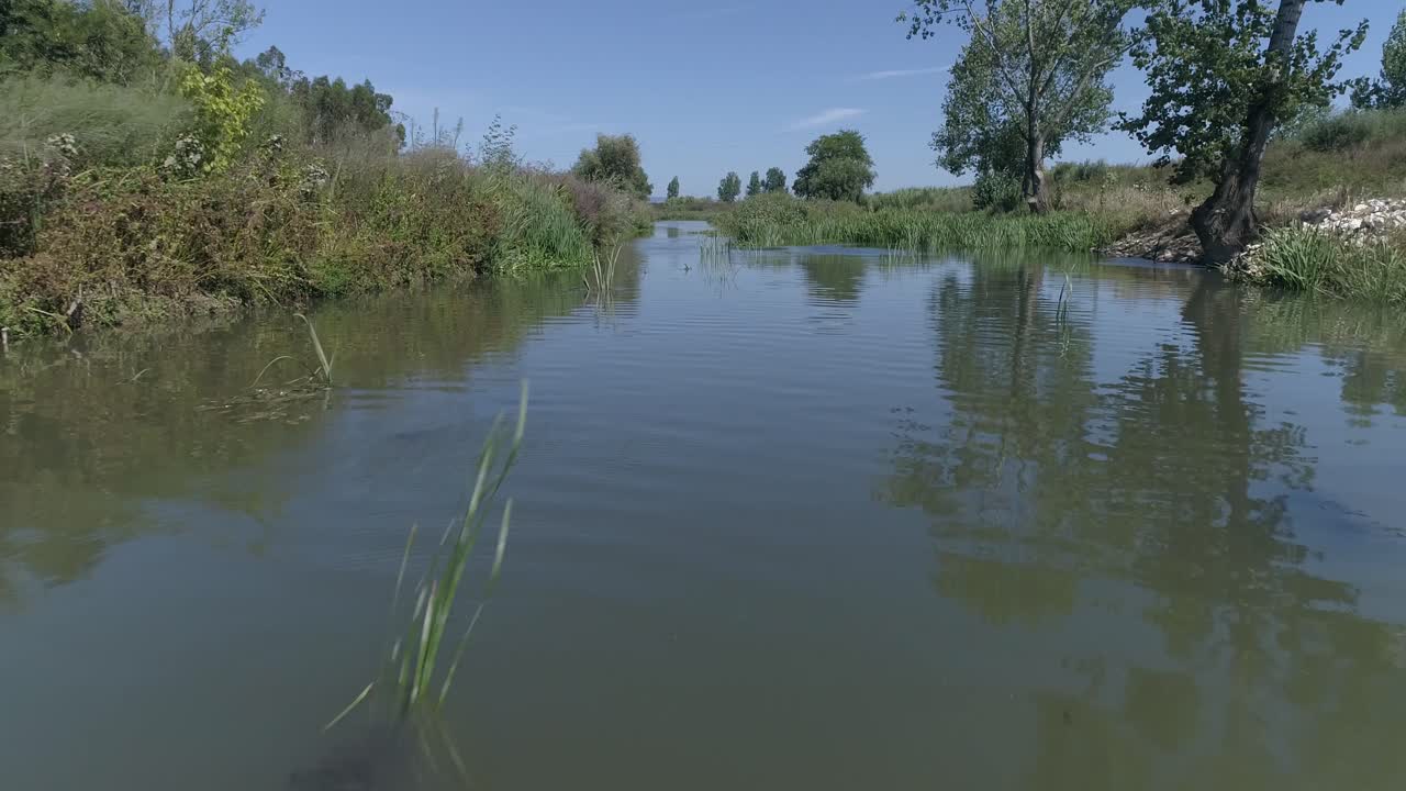 весенний пейзаж болота в лесу
