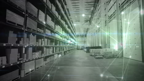 animation of network of connections over shelves in warehouse