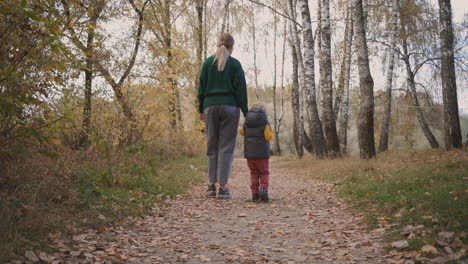 Mutter-Und-Kleiner-Sohn-Gehen-Bei-Sonnigem-Wetter-Im-Herbstwald-Spazieren.-Rückansicht-Nach-Einem-Wochenende-In-Der-Natur-Mit-Der-Familie