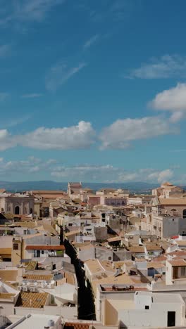 flying up above rooftops in historic town of syracuse. vertical aerial view of ortigia island buildings. unesco world heritage site in sicily.