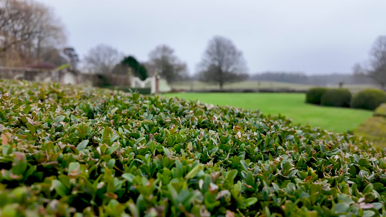 Giardino formale con siepe verde e prato in una dimora signorile in Inghilterra con alberi e architettura in lontananza in una giornata nuvolosa, design del paesaggio