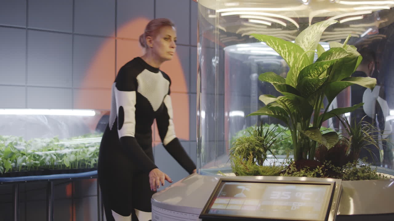 Scientist observing plants in a controlled environment