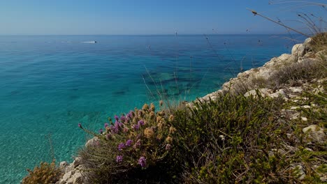 mar turquesa y jet ski trazando en el fondo visto desde la costa rocosa del mediterráneo con flores salvajes de colores