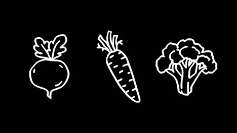 beets carrots broccoli white outline. frame by frame animation. alpha channel