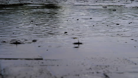 raindrops falling into pool on day with miserable weather, low angle zoom