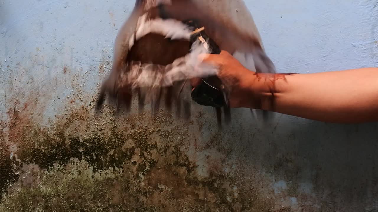 apriete con la mano la botella llena de líquido marrón hasta que salga a borbotones a cámara lenta