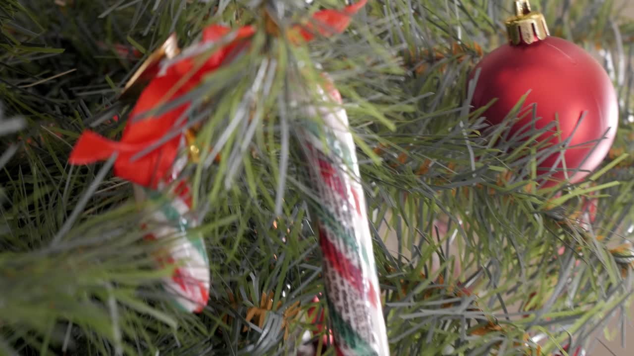 Festive tree with candy canes and ornaments, evokes Christmas spirit