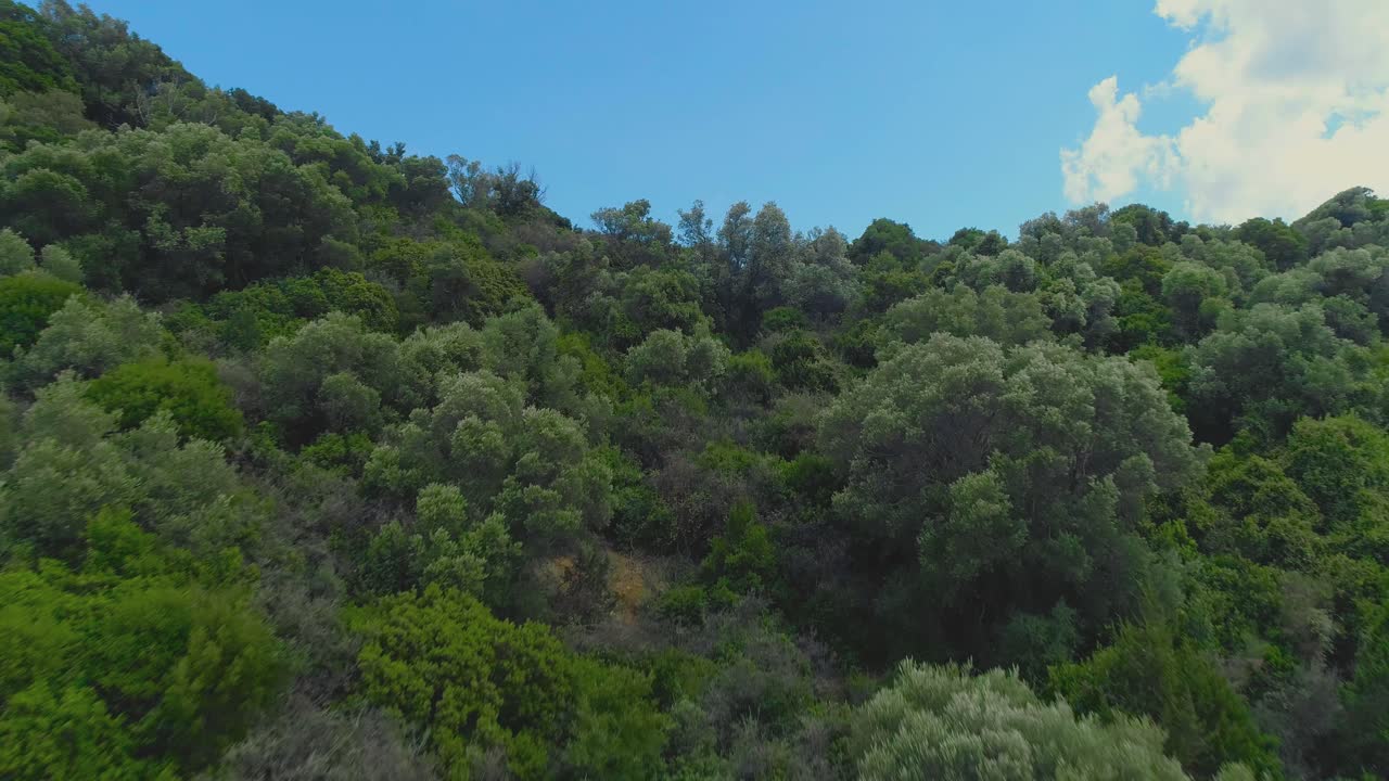 Vista aerea di colline verdi e lussureggianti e