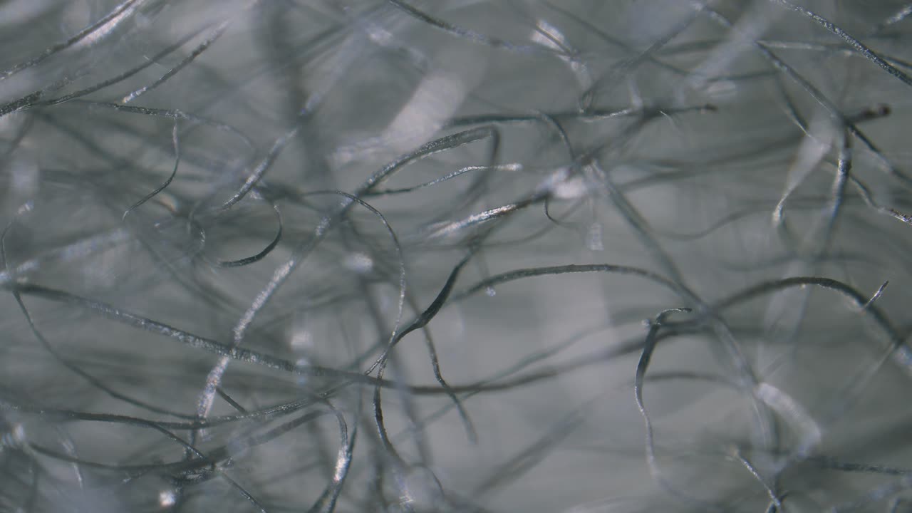 Steel wool fibers under microscope low magnification