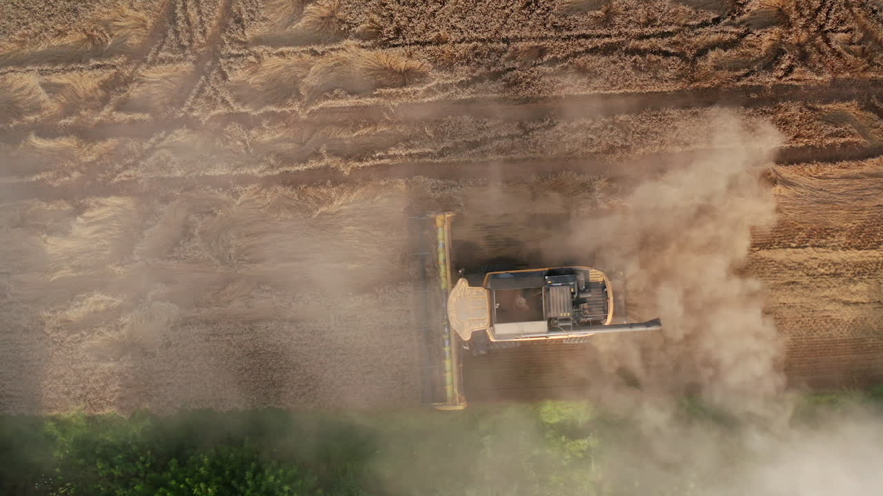Yellow harvester mowing the wheat in farmlands. Powerful combine moving in the dusty clouds. View from above.