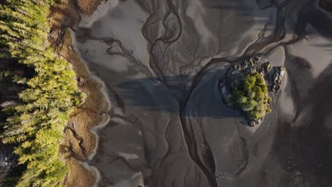 Mudflats-on-the-BC-coast-on-Vancouver-Island-with-trees-along-the-beach-of-a-small-stream-in-the-intertidal-zone