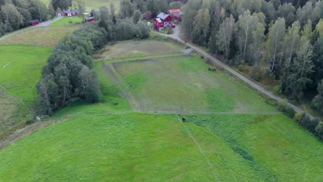 Drone-footage-over-green-field-country-site-in-Sweden