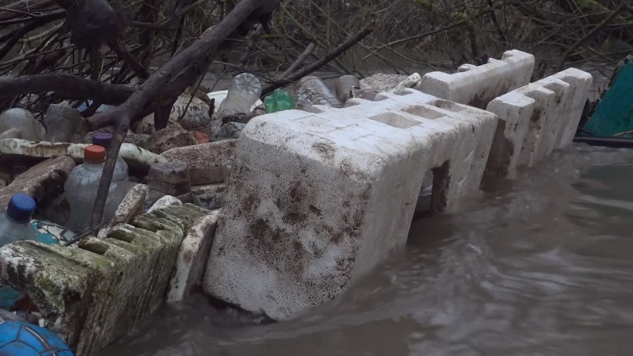 Polistirolo e altre plastiche intrappolate nei rami dopo l'alluvione. Inverno. Fiume Stour. Regno Unito