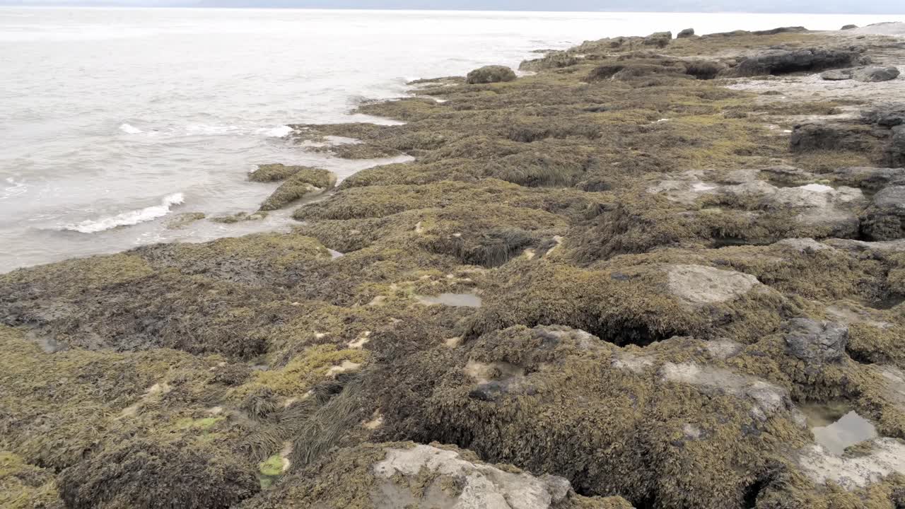 antena vista de ángulo bajo por encima de la costa de algas marinas rocosas ásperas roca piscina paisaje retroceder