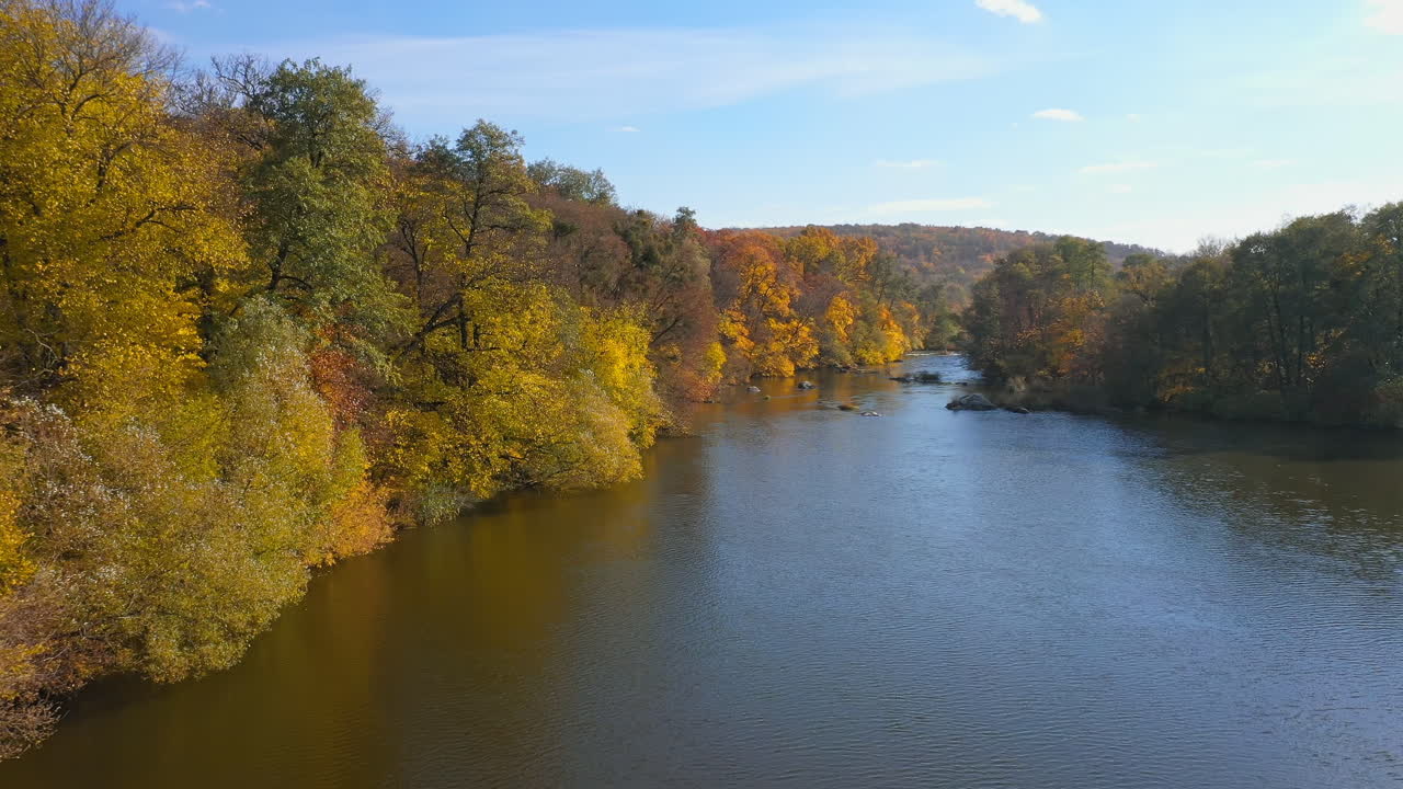 Aerial view. Flying over the beautiful sunny forest trees and wide river. Autumn forest and landscape panorama concept