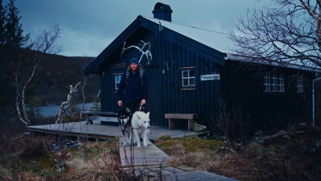 male hiker walking his pet dogs in åfjord, norway - wide shot