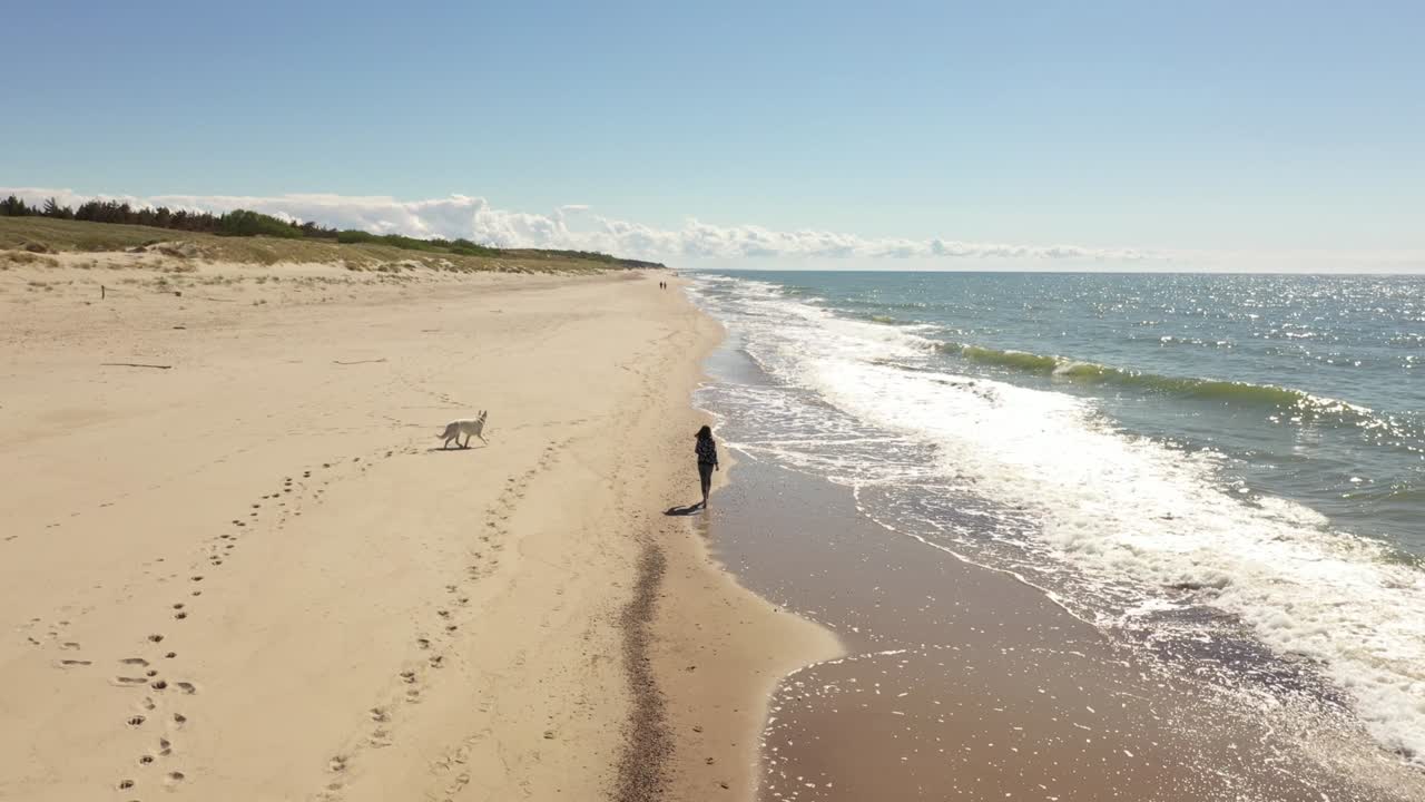 어린 소녀가 해변을 따라 개와 함께 달리고 있습니다.