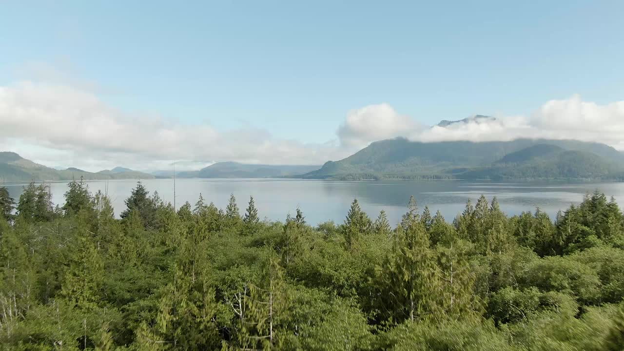 Sandstrand ved søen med grønne træer-3