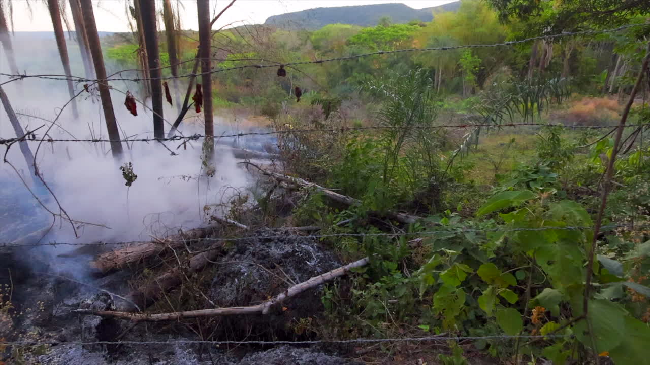 열대우림에서 가족 농업을 절단하고 불태우는 것