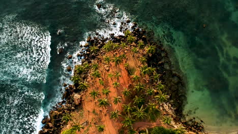 aerial of coconut tree hill, isolated palm trees