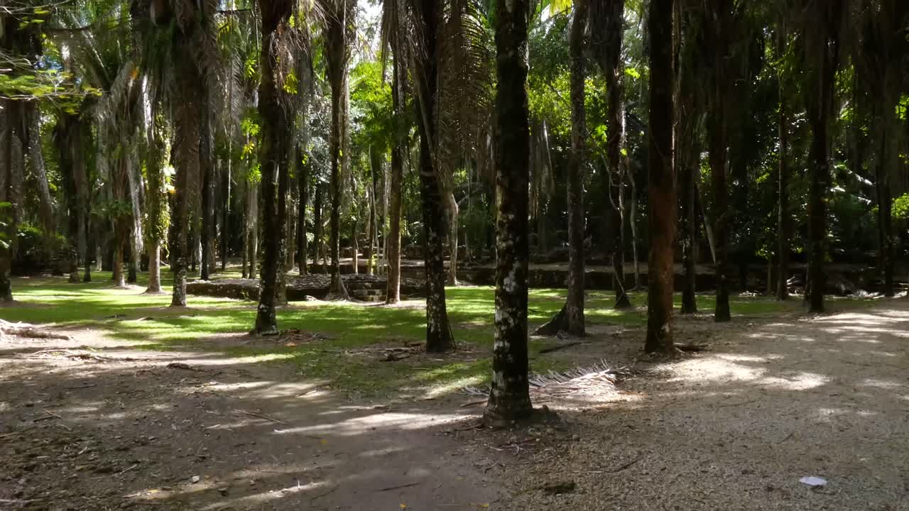 plaza merwin en el sitio maya de kohunlich - quintana roo, méxico