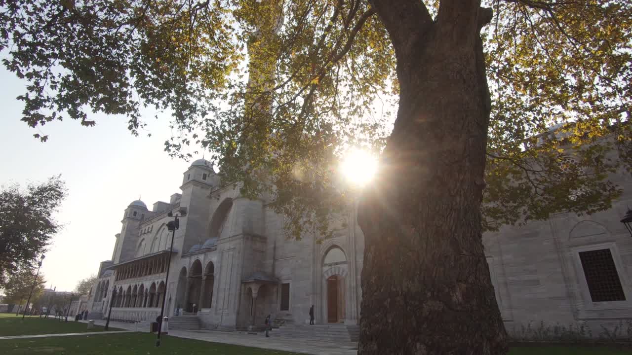 la luz del sol brilla a través de las ramas de los árboles en el patio de la histórica mezquita suleymaniye en estambul, turquía