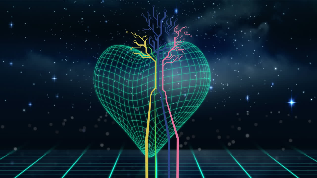 지구의 회전과 패턴에 대한 연결 네트워크의 애니메이션