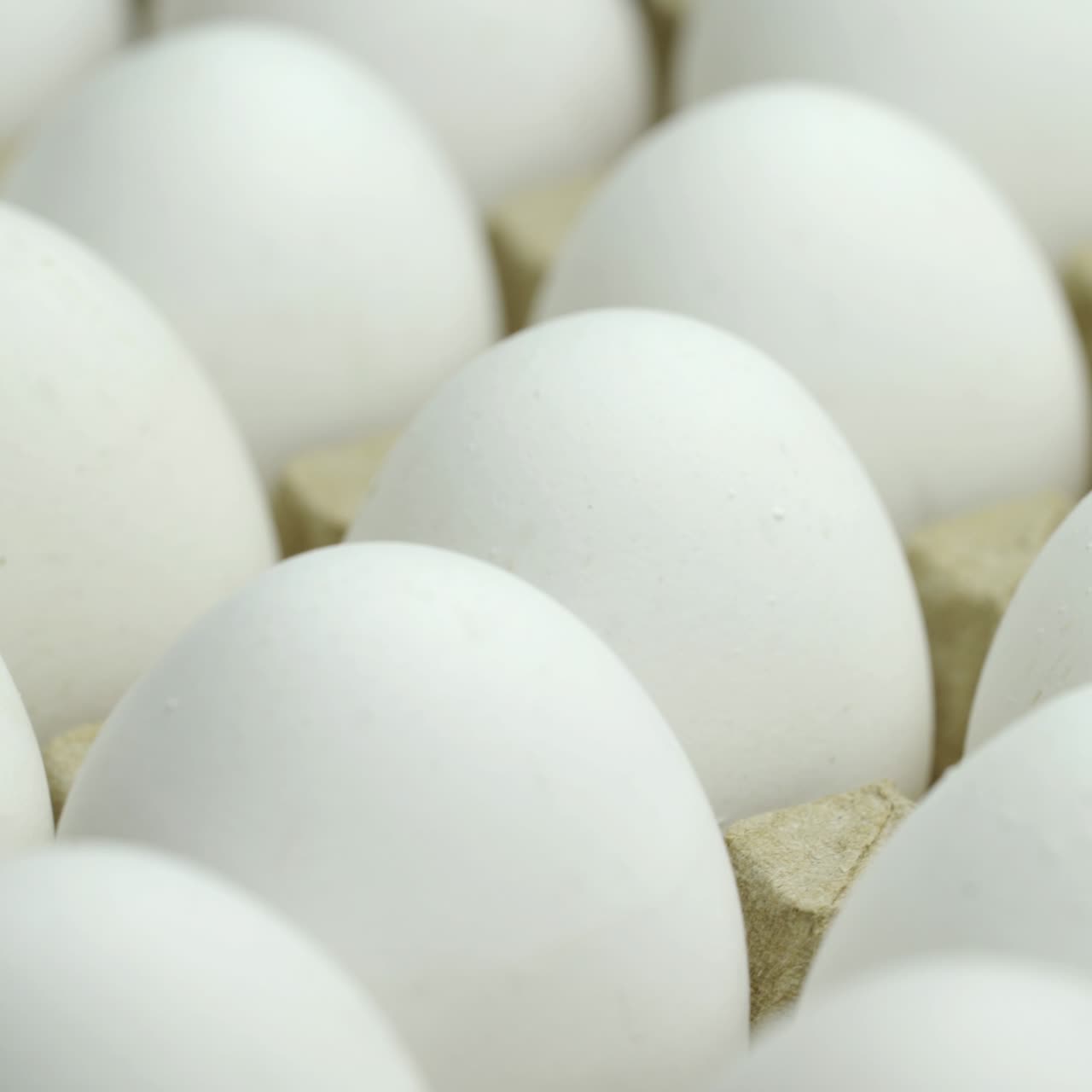White chicken eggs. Chicken eggs in the container