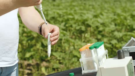 laboratory assistant conducting research on plants in the field