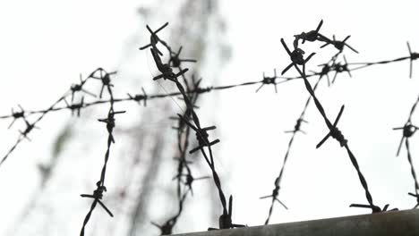 close-up-of-wire-fence-with-sky-background