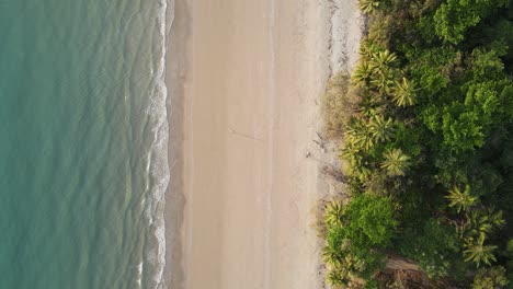 tourist walk the palm tree lined waters edge of a beach at a popular holiday getaway