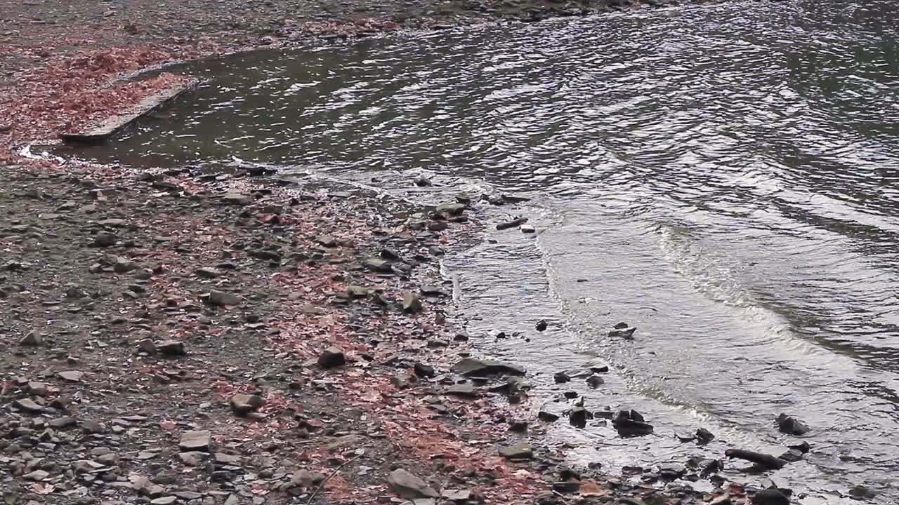 acqua che scorre in un lago che inquina l'acqua video d'archivio filmati d'archivio