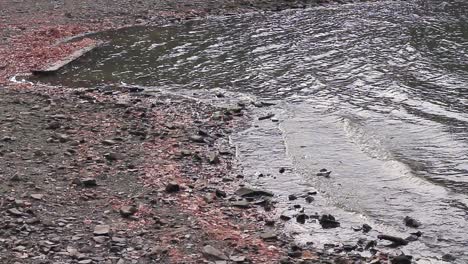 流入湖泊的水污染 水库视频库存片段