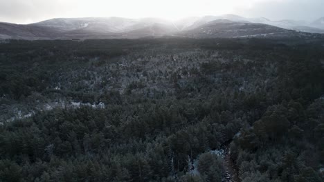 Filmische-Drohnenaufnahmen,-Die-Sich-Langsam-Hoch-über-Dem-Weißen-Baldachin-Von-Schneebedeckten-Waldkiefern-Mit-Einem-Markanten-Winterbergsonnenaufgang-Umkehren