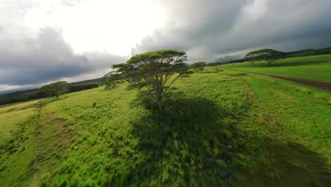 Aerial-drone-shot-of-The-Garden-Isle